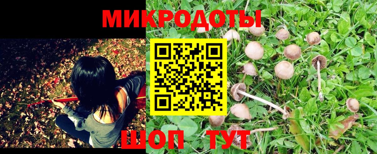 Галлюциногенные грибы ЛСД Тобольск